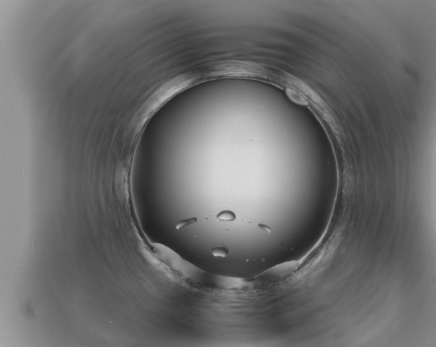 X0000113211433200909171525