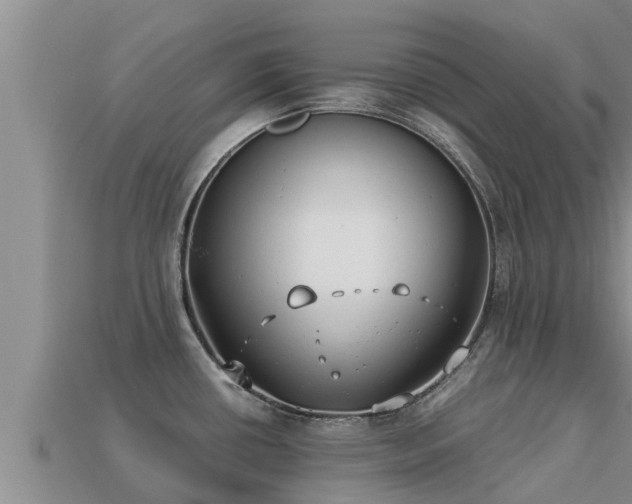 X0000113211434200909171525