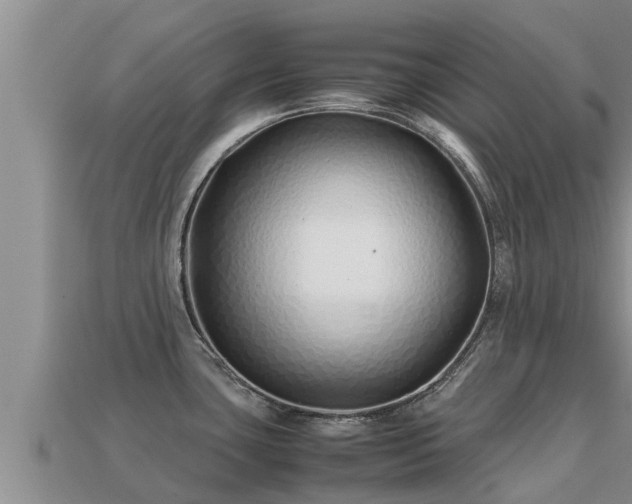 X0000113211435200909171525