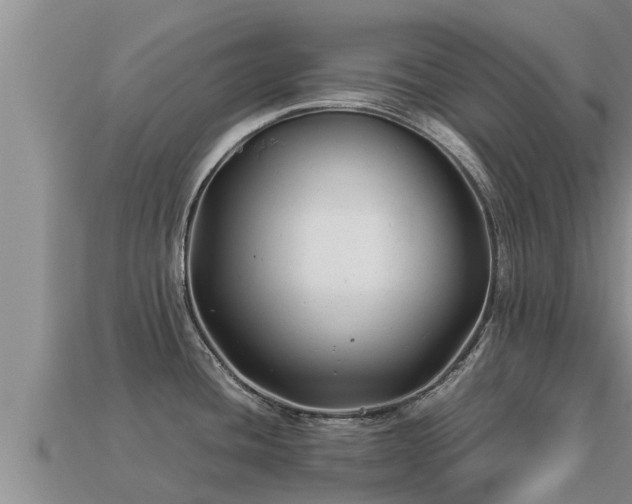 X0000113211436200909171525