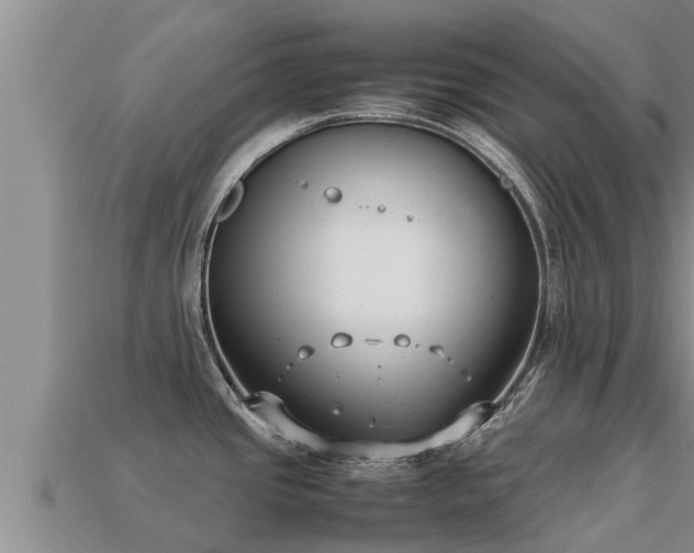 X0000113211437200909171525