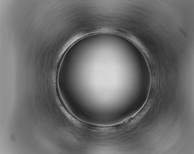 X0000113211438200909171525