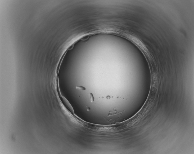 X0000113211439200909171525