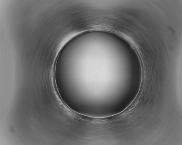 X0000113211440200909171525