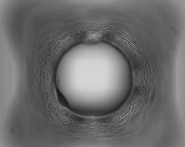 X0000113211441200909171525