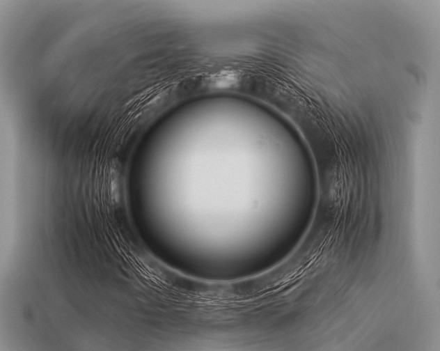 X0000113211442200909171525