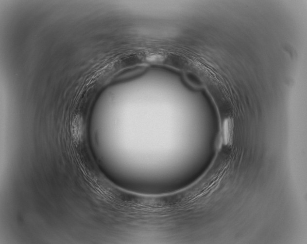 X0000113211443200909171524