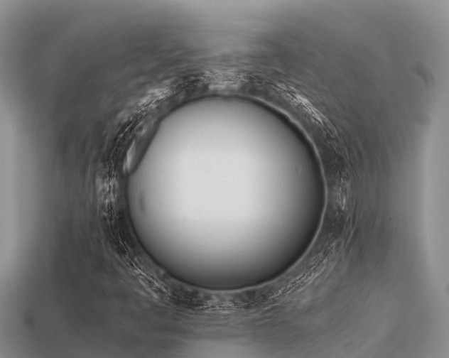 X0000113211445200909171524