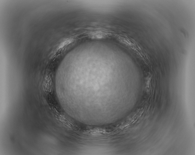 X0000113211446200909171524