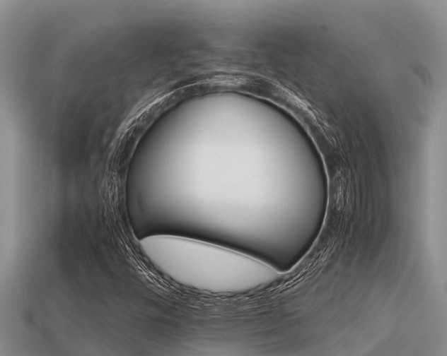 X0000113211448200909171524