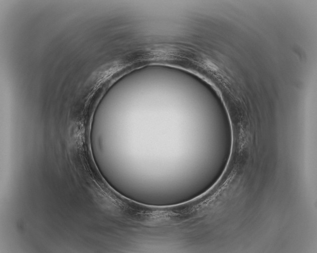 X0000113211449200909171524