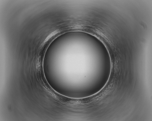 X0000113211450200909171524