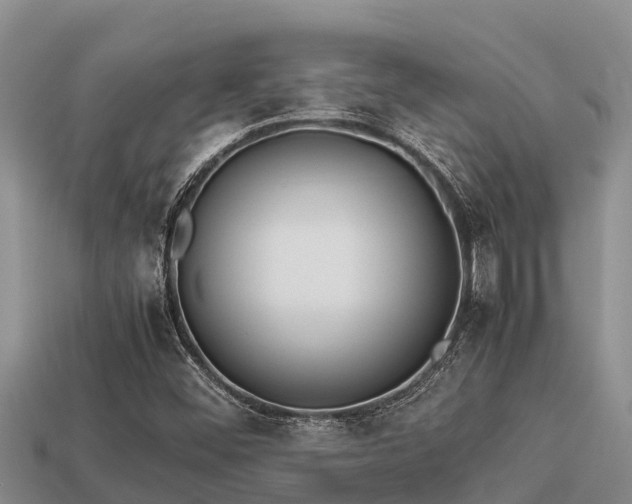 X0000113211452200909171524