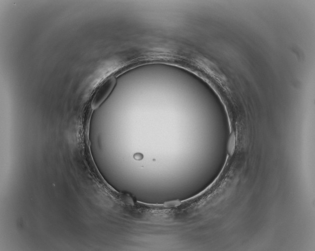 X0000113211453200909171524