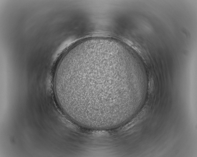 X0000113211454200909171524