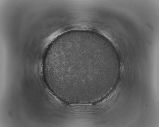 X0000113211455200909171524