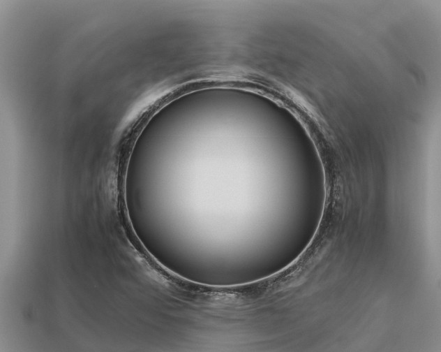 X0000113211456200909171524