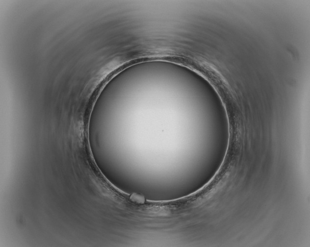 X0000113211457200909171524