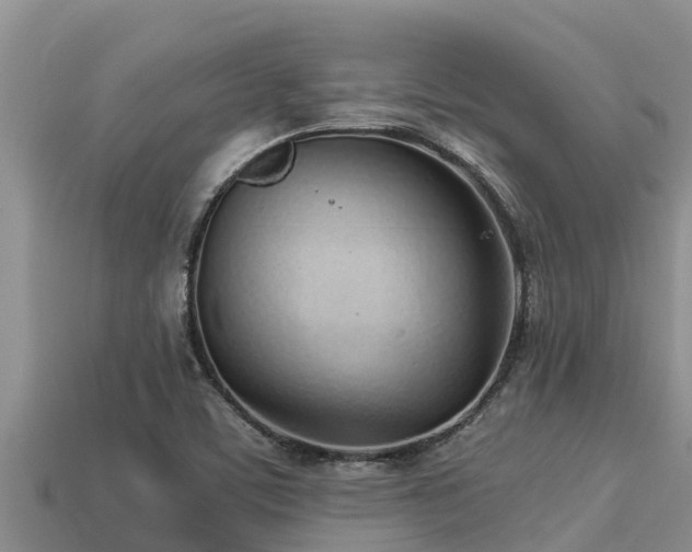 X0000113211459200909171524