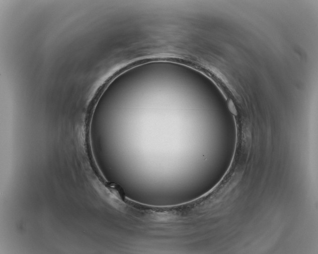 X0000113211460200909171524