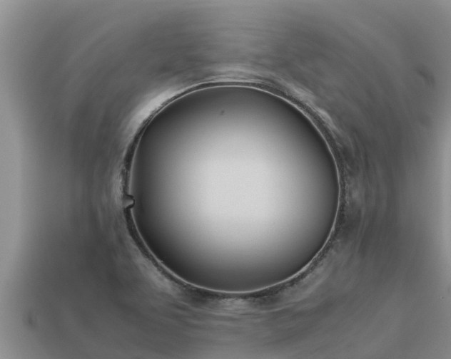 X0000113211463200909171524