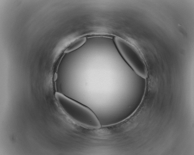 X0000113211464200909171524