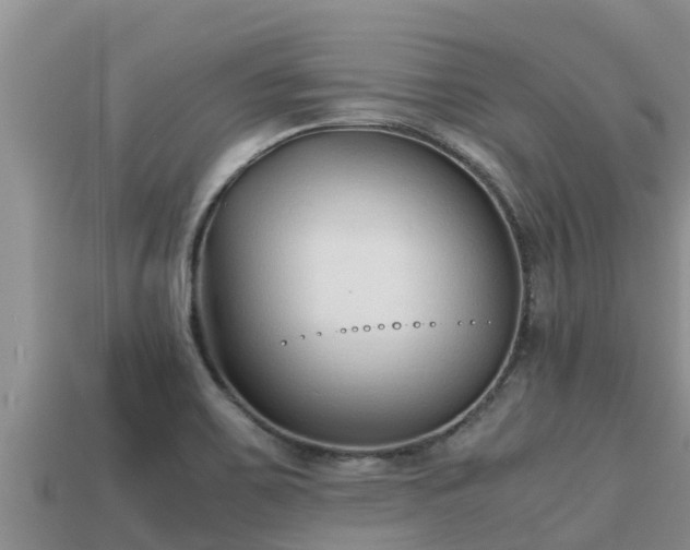 X0000113211467200909171524