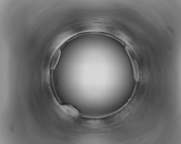 X0000113211468200909171524