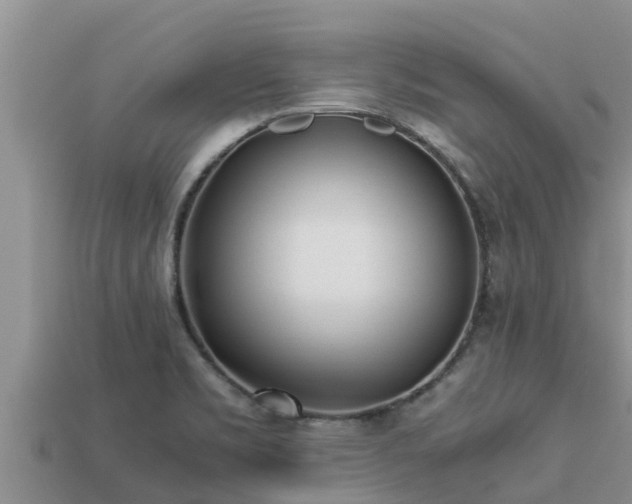 X0000113211469200909171524