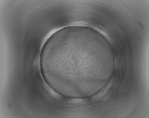 X0000113211470200909171524