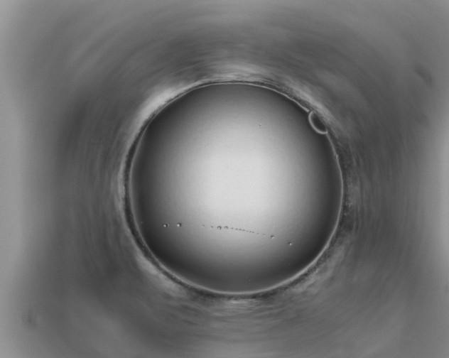 X0000113211471200909171524