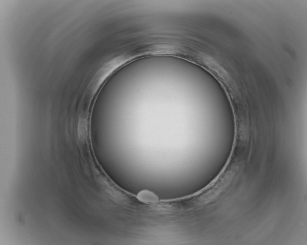 X0000113211473200909171524