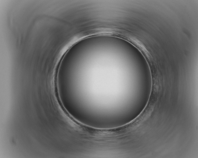 X0000113211475200909171524