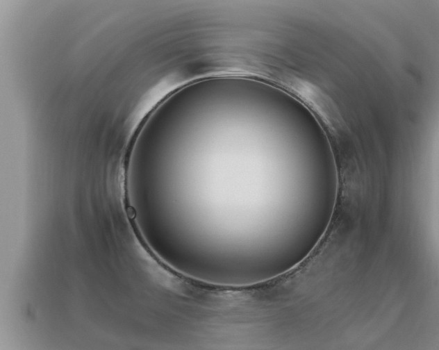 X0000113211476200909171524