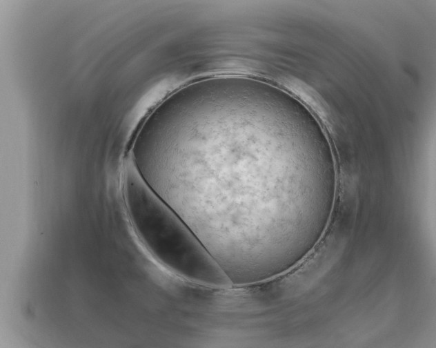 X0000113211477200909171524