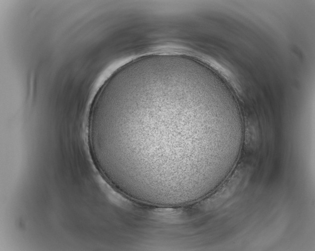 X0000113211478200909171524