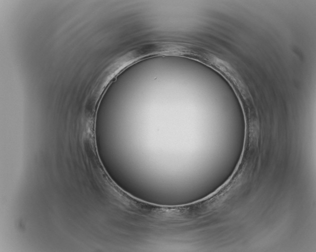 X0000113211481200909171524