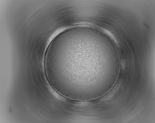 X0000113211482200909171524