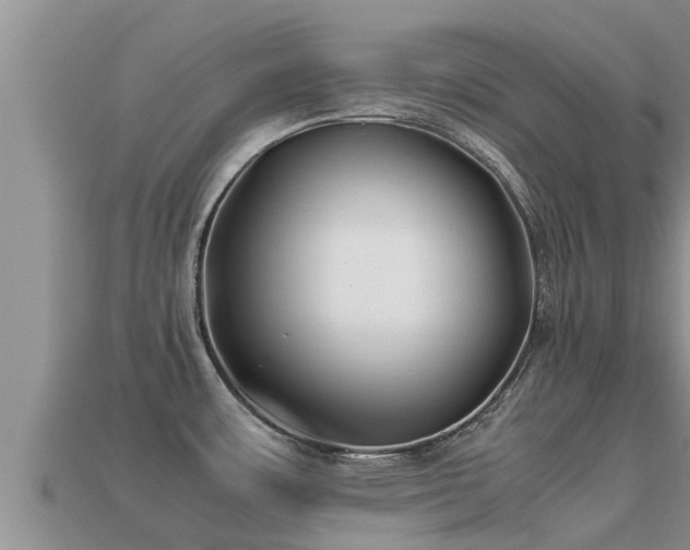 X0000113211483200909171524