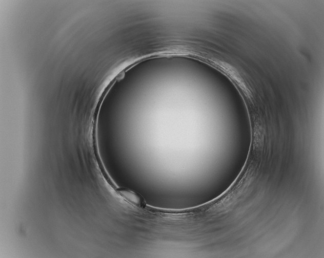 X0000113211484200909171524