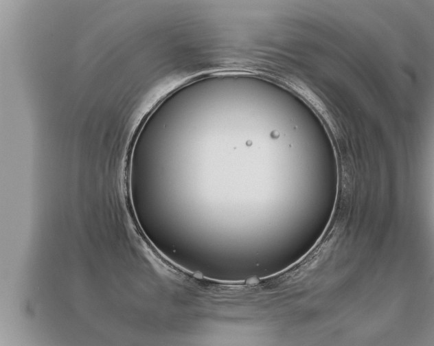 X0000113211485200909171524