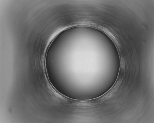 X0000113211486200909171524