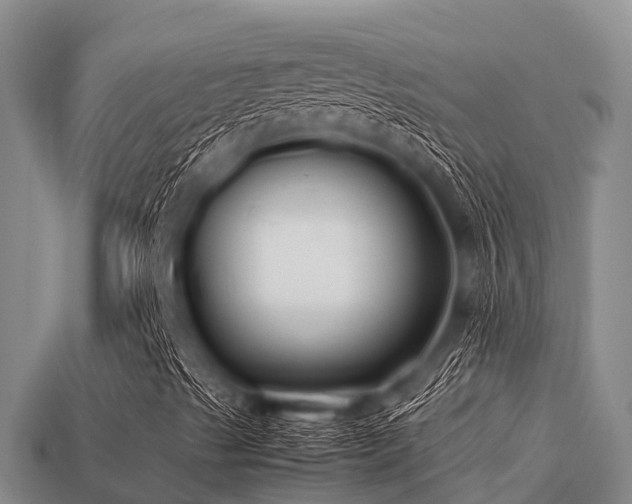 X0000113211489200909171523