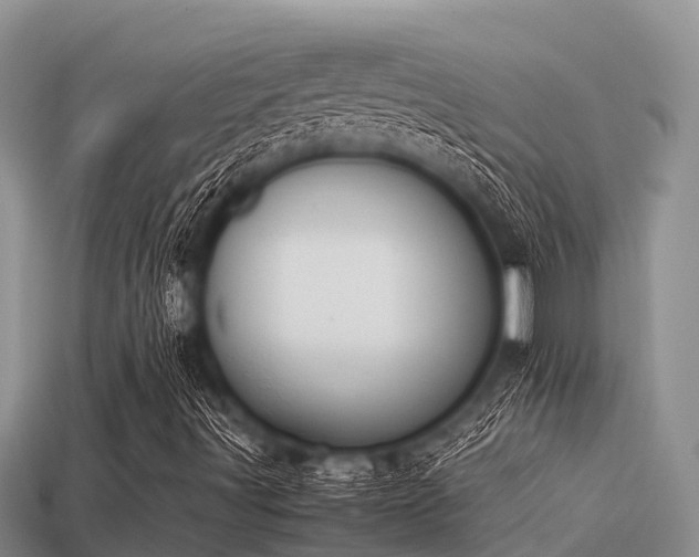 X0000113211491200909171523