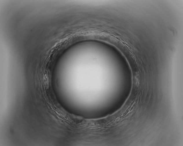 X0000113211493200909171523