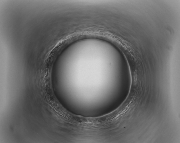 X0000113211494200909171523