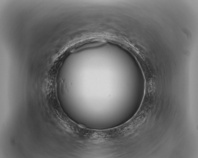 X0000113211496200909171523