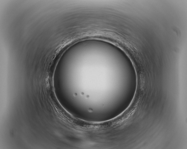 X0000113211497200909171523