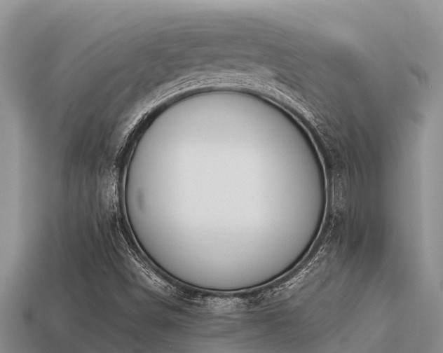 X0000113211498200909171523