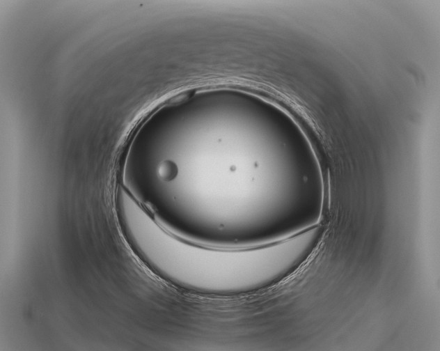 X0000113211500200909171523